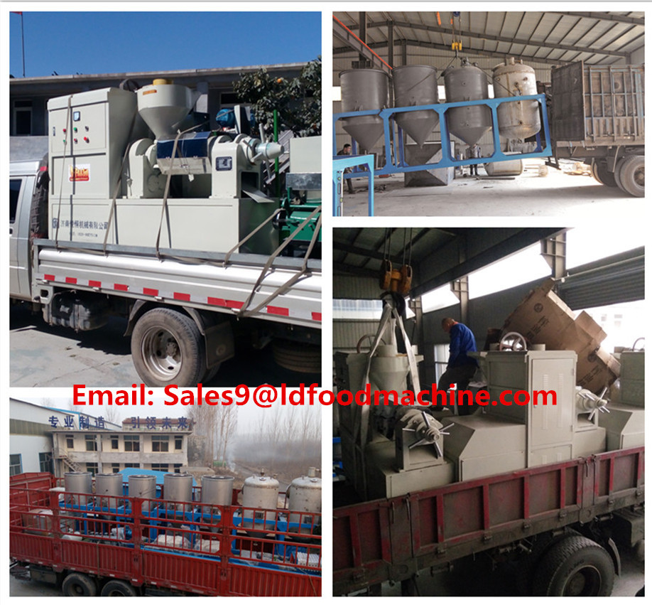 Professional supplier cooking oil machine for palm oil refining