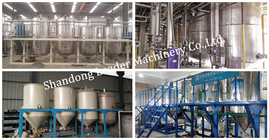 Wear resisting Stainless steel olive/coconut/palm/cocoa beans oil production line for sale with CE approved