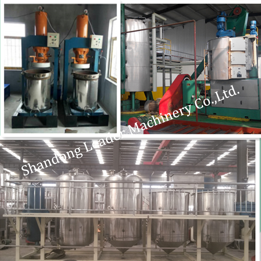 Conventional Small Screw Cold Oil Press/Sesame Oil Extraction Equipment for sale with CE approved