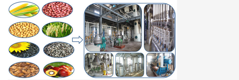 20-2000T SOYA BEAN OIL EXTRACTION EQUIPMENT WITH CE AND ISO