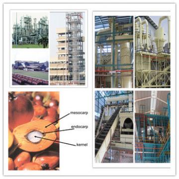 palm oil making machine