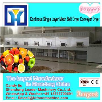 Large Yield Mango Mesh Belt Dryer/Conveyor Dryer