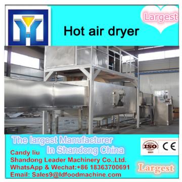 Hot air fruits tray dryer