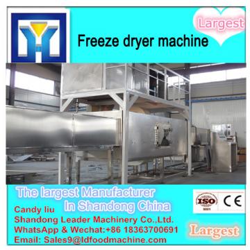 CE approved vacuum freeze fruit drying machine