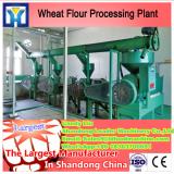 45 Tonnes Per Day Corn Germ Seed Crushing Oil Expeller
