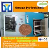 New Condition Fruits Vegetables Processing Microwave Red Chili Dryer with CE