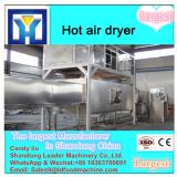 Hot air circulation fan fruit dryer
