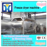 Large-scale Vacuum Freeze Dryer for fruit / lyophilizer price
